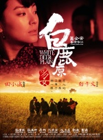 成人小视频免费看
